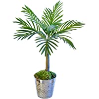 Palmera Artificial- Ideal para Decoración del Hogar u Oficina- Planta Artificial (55 cm)